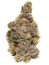 BLUEBERRY MUFFIN-1G